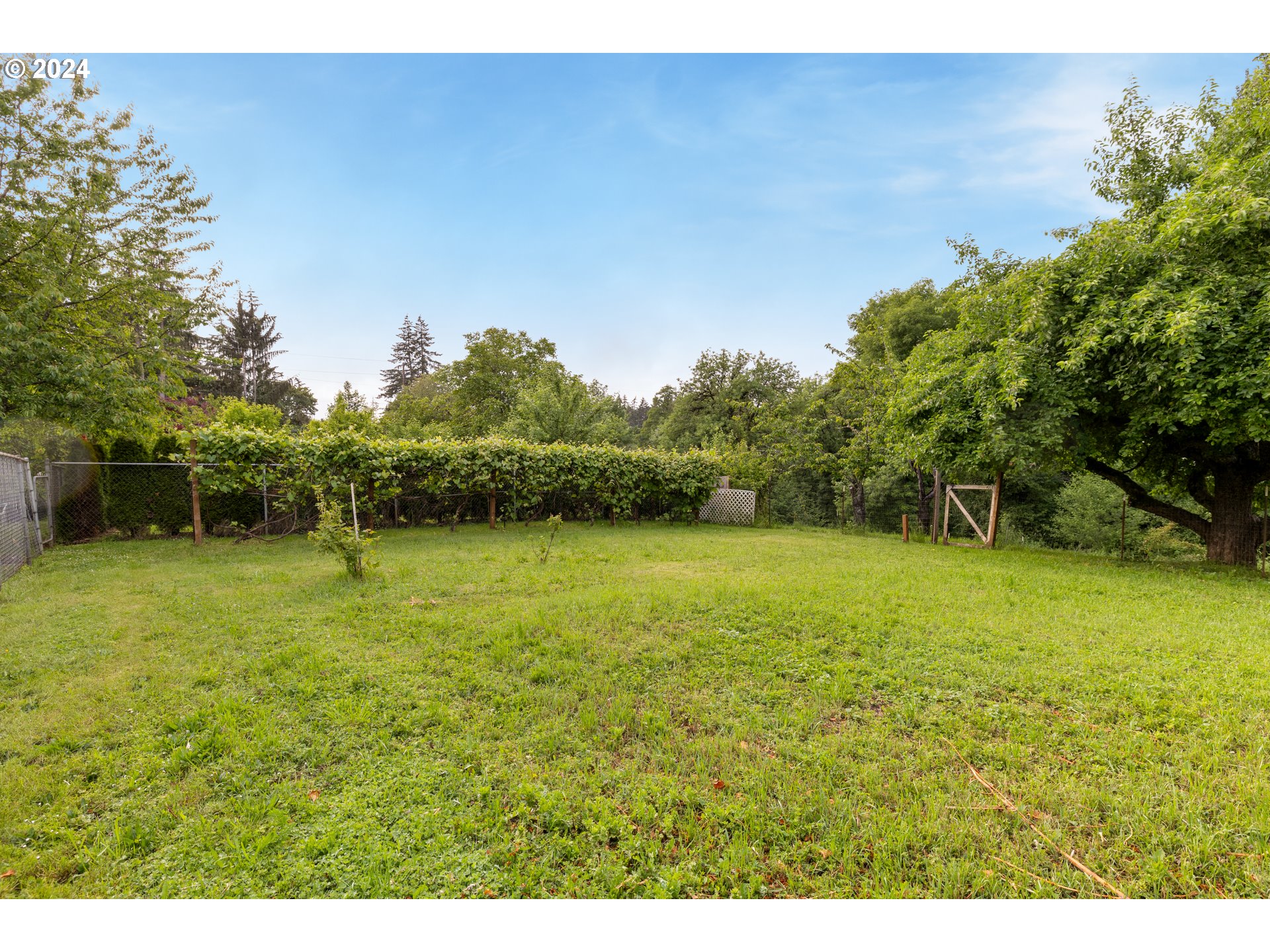 140 Southeast Lamson Street Willamina, OR 97396 - Photo 35 of 46 a view of outdoor space and yard