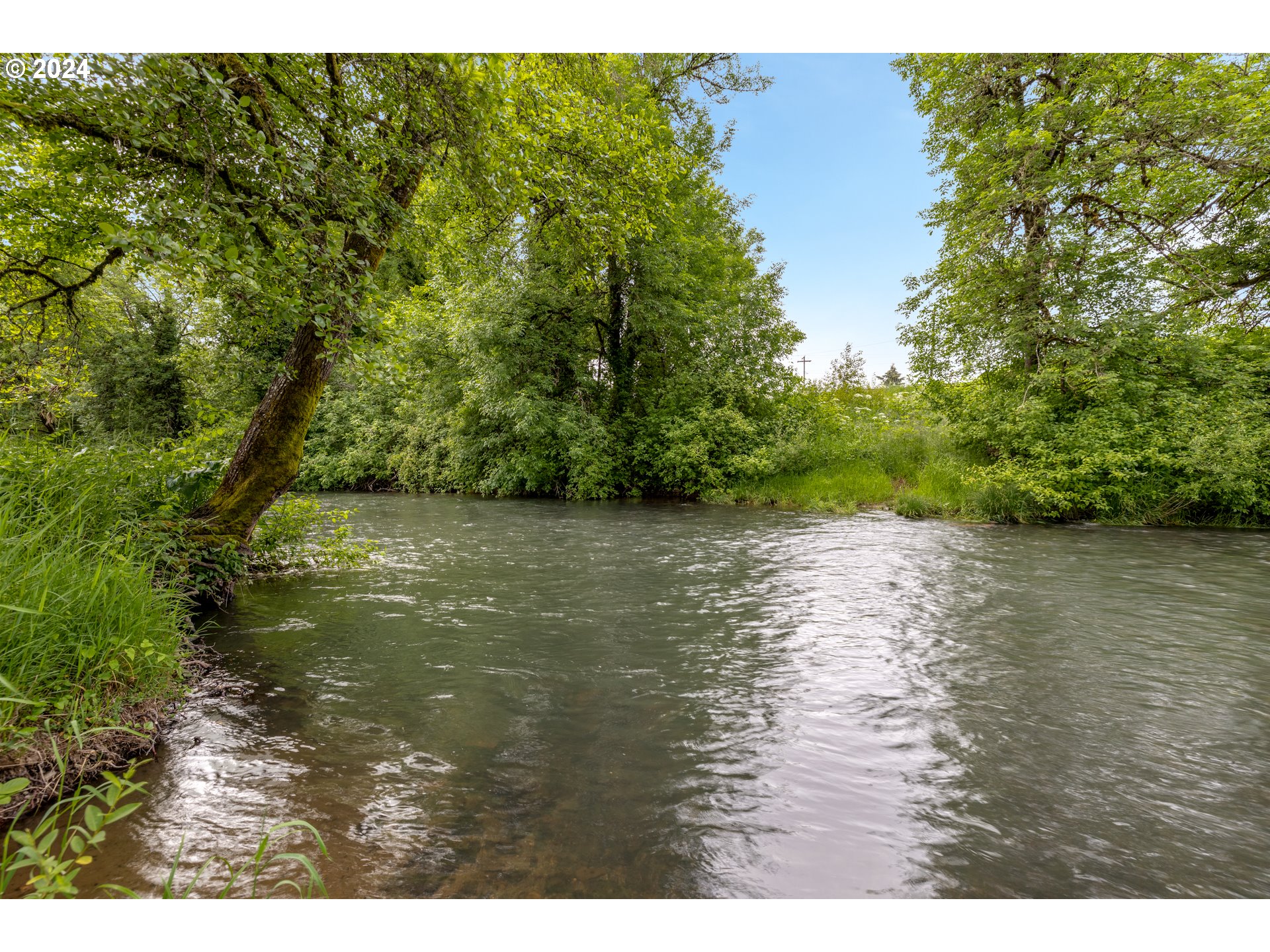 140 Southeast Lamson Street Willamina, OR 97396 - Photo 40 of 46 a view of a lake view with a large tree
