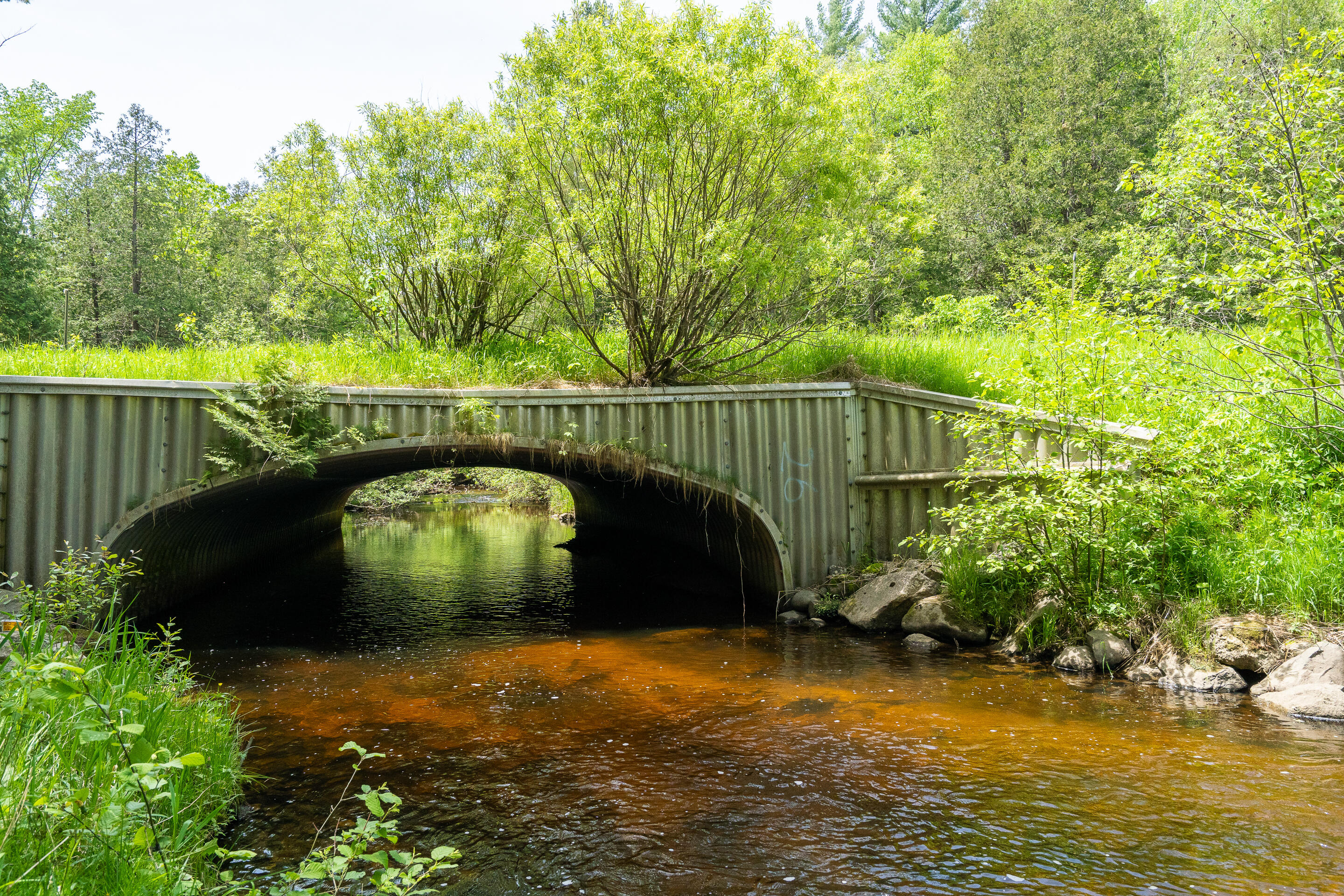 20850 210th Avenue Tustin, MI 49688 - Photo 44 of 57 A7300079