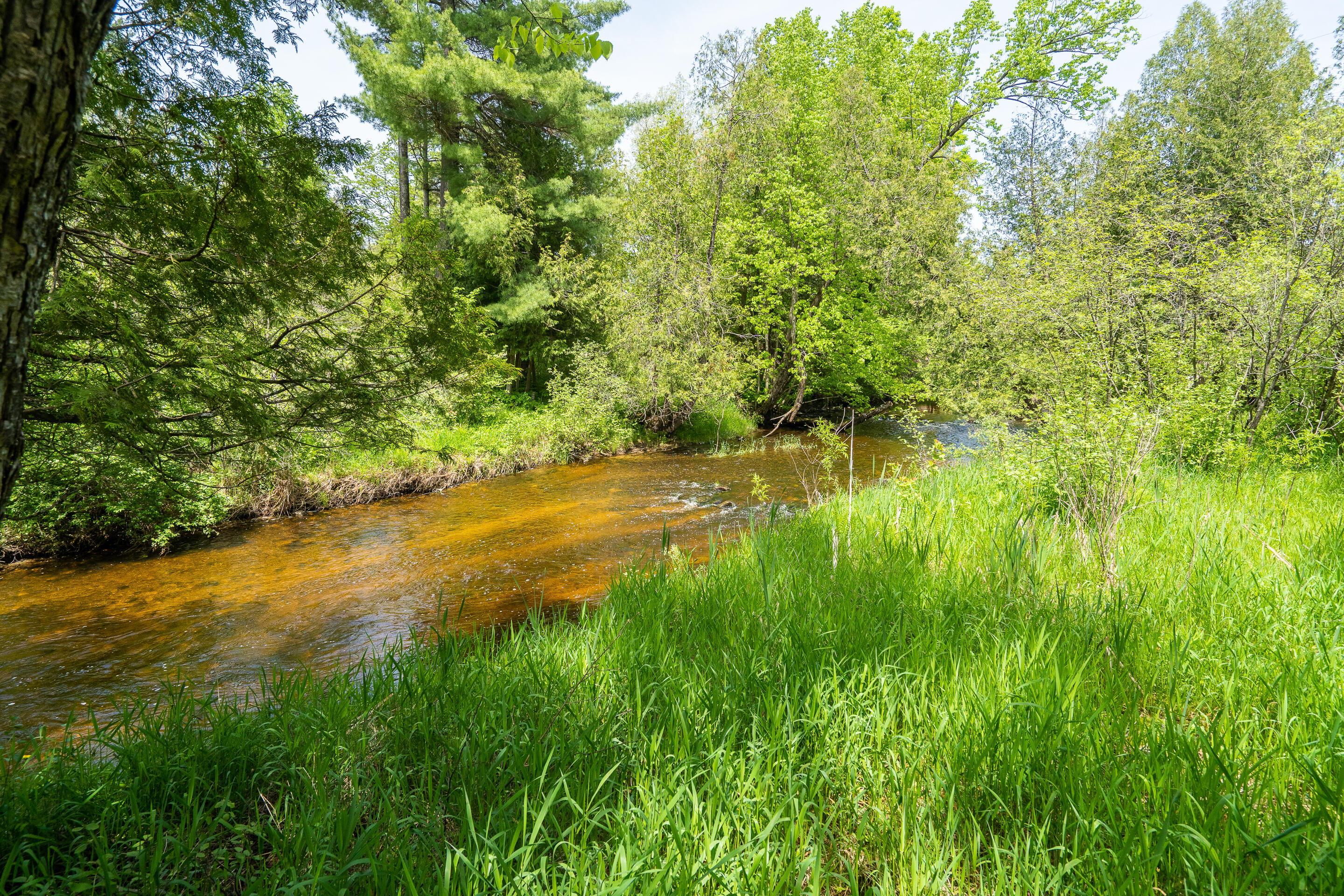 20850 210th Avenue Tustin, MI 49688 - Photo 45 of 57 A7300081
