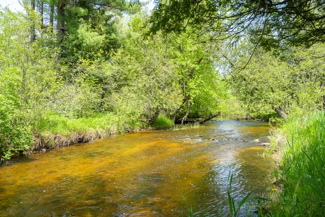 $620,000 | 20850 210th Avenue, Tustin, MI 49688