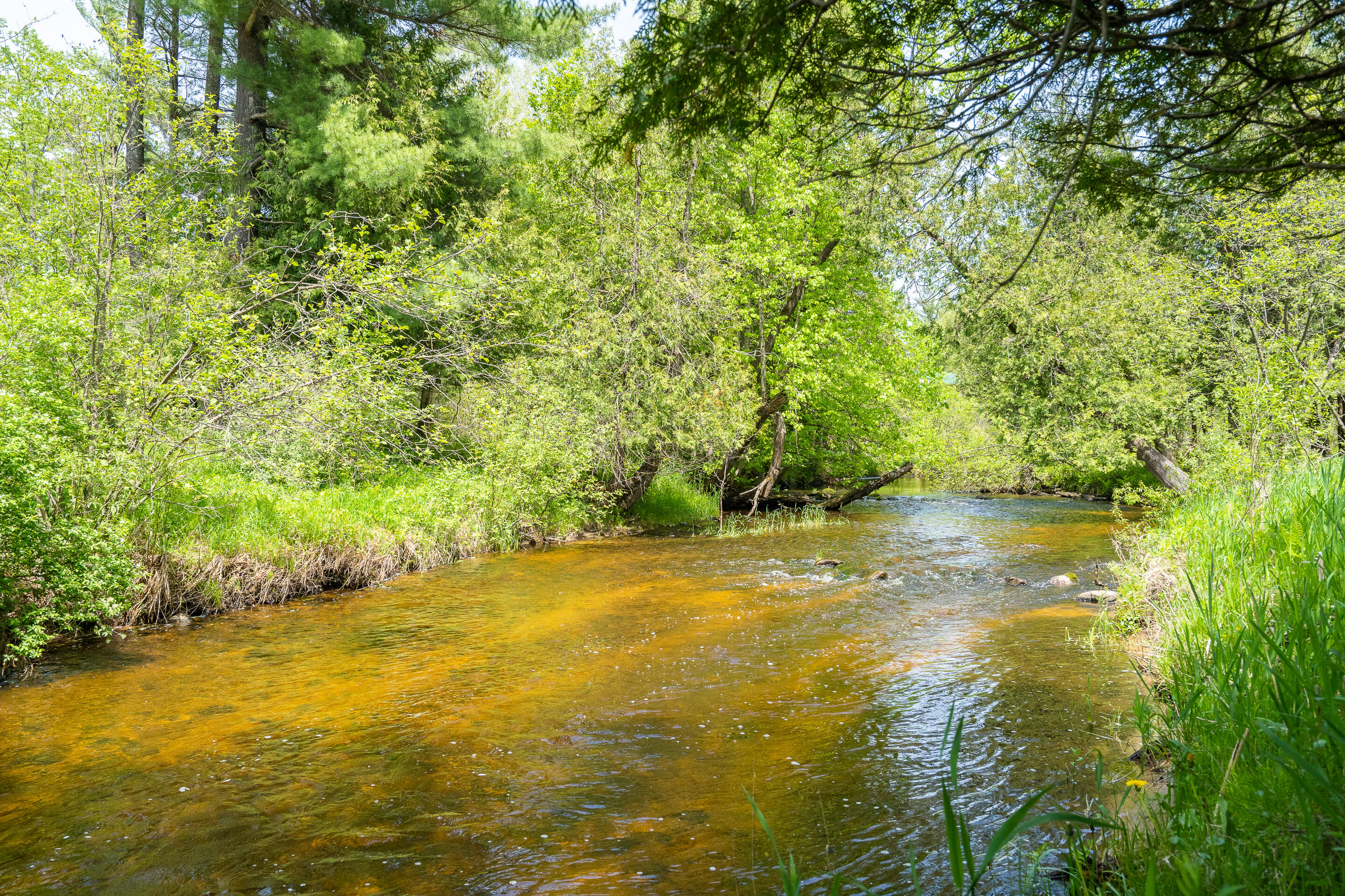 20850 210th Avenue Tustin, MI 49688 - Photo 46 of 57 A7300078