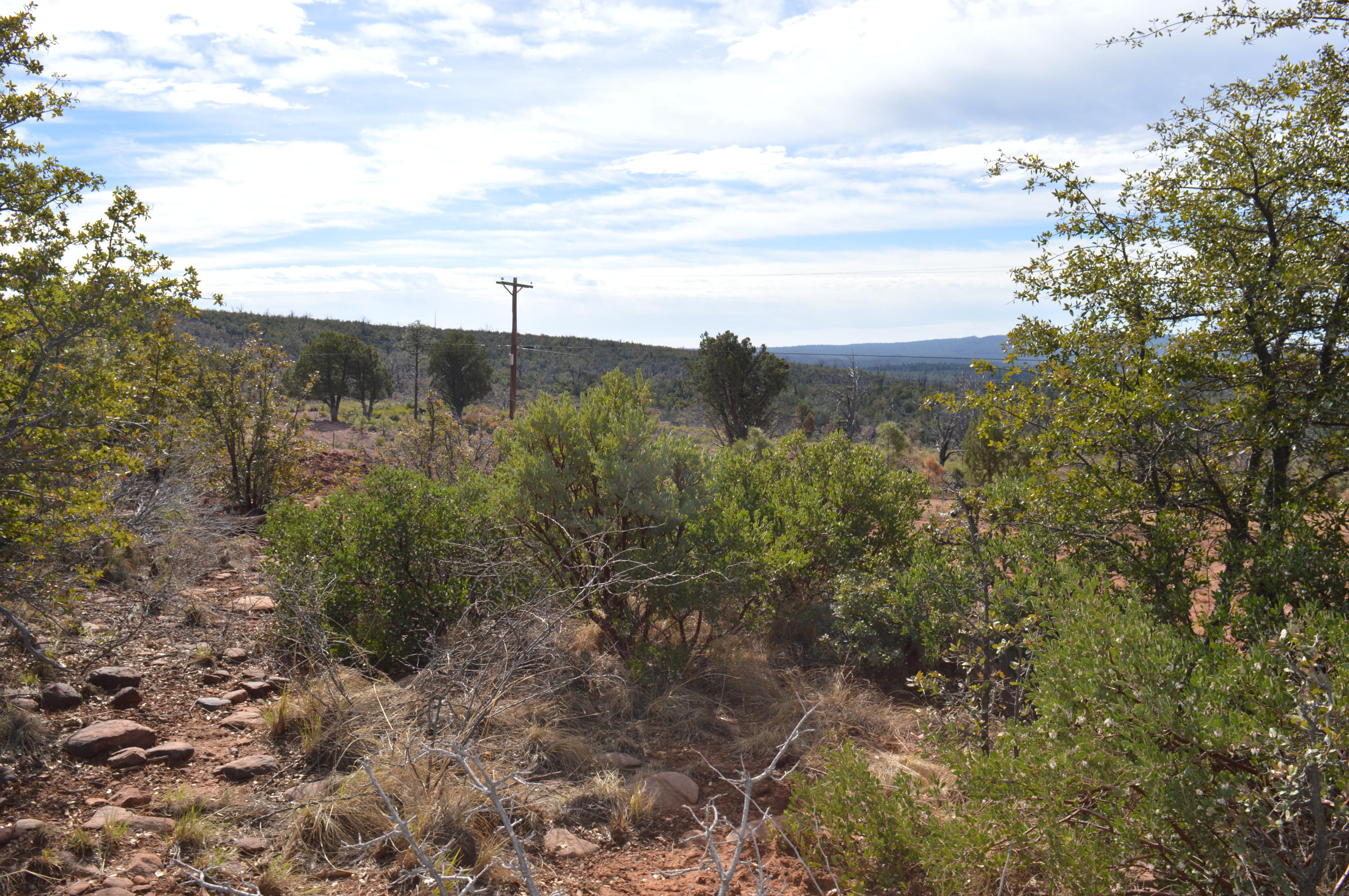 Lot 19 North Myrtle Point Trail Payson, AZ 85541 - Photo 5 of 10