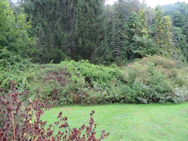 54 Turnpike Road Montague, MA 01376 - Photo 24 of 27 Gallery Image 24
