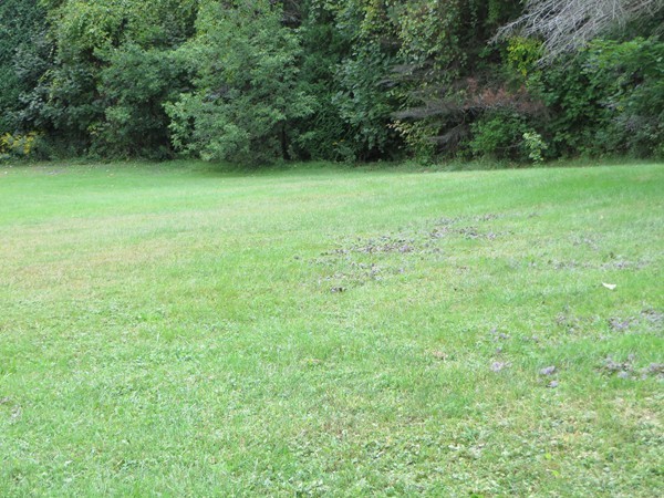 54 Turnpike Road Montague, MA 01376 - Photo 4 of 27 Gallery Image 4