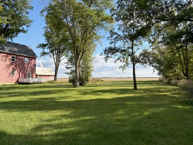 a view of a park with a tree