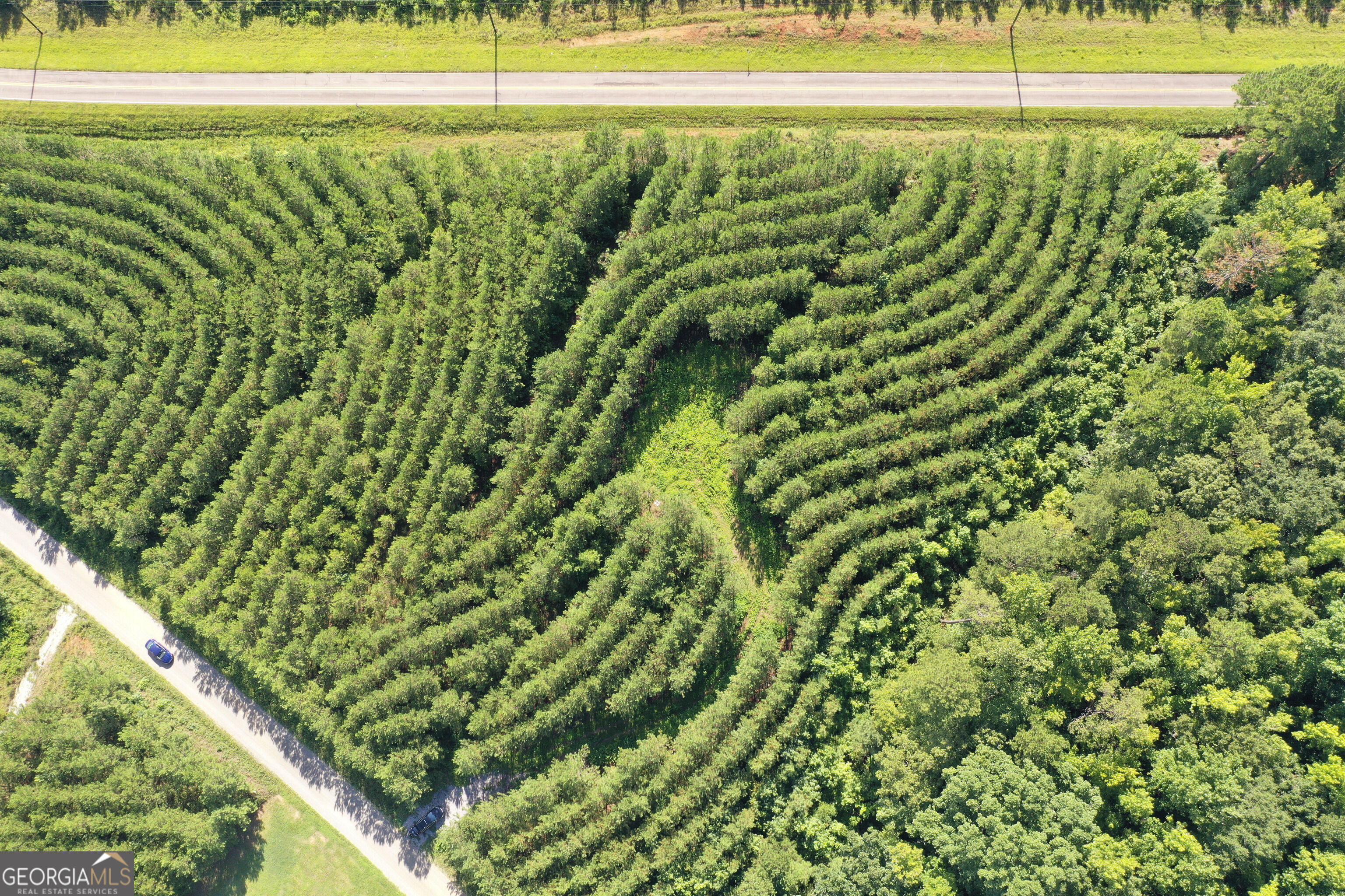 0 Nelson Road Milledgeville, GA 31061 - Photo 4 of 9 Gallery Image 4