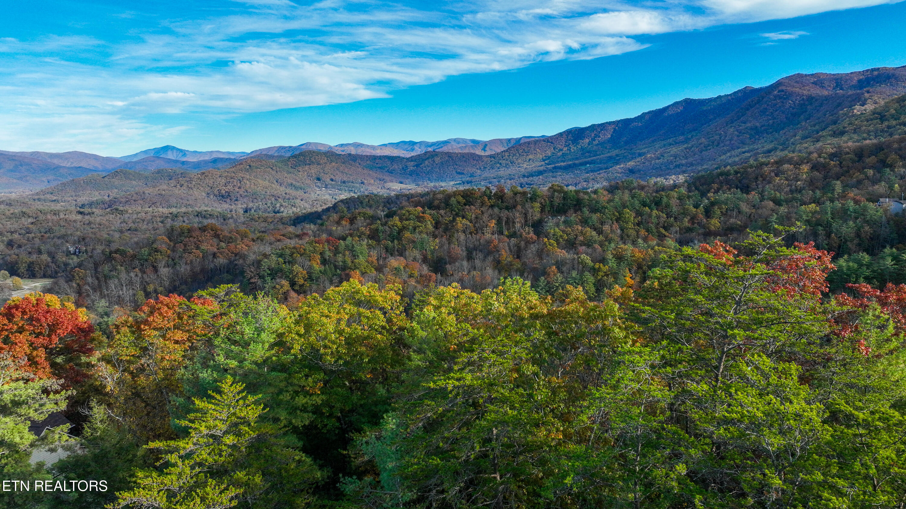 Bear Den Road Townsend, TN 37882 - Photo 14 of 23 DJI_0947