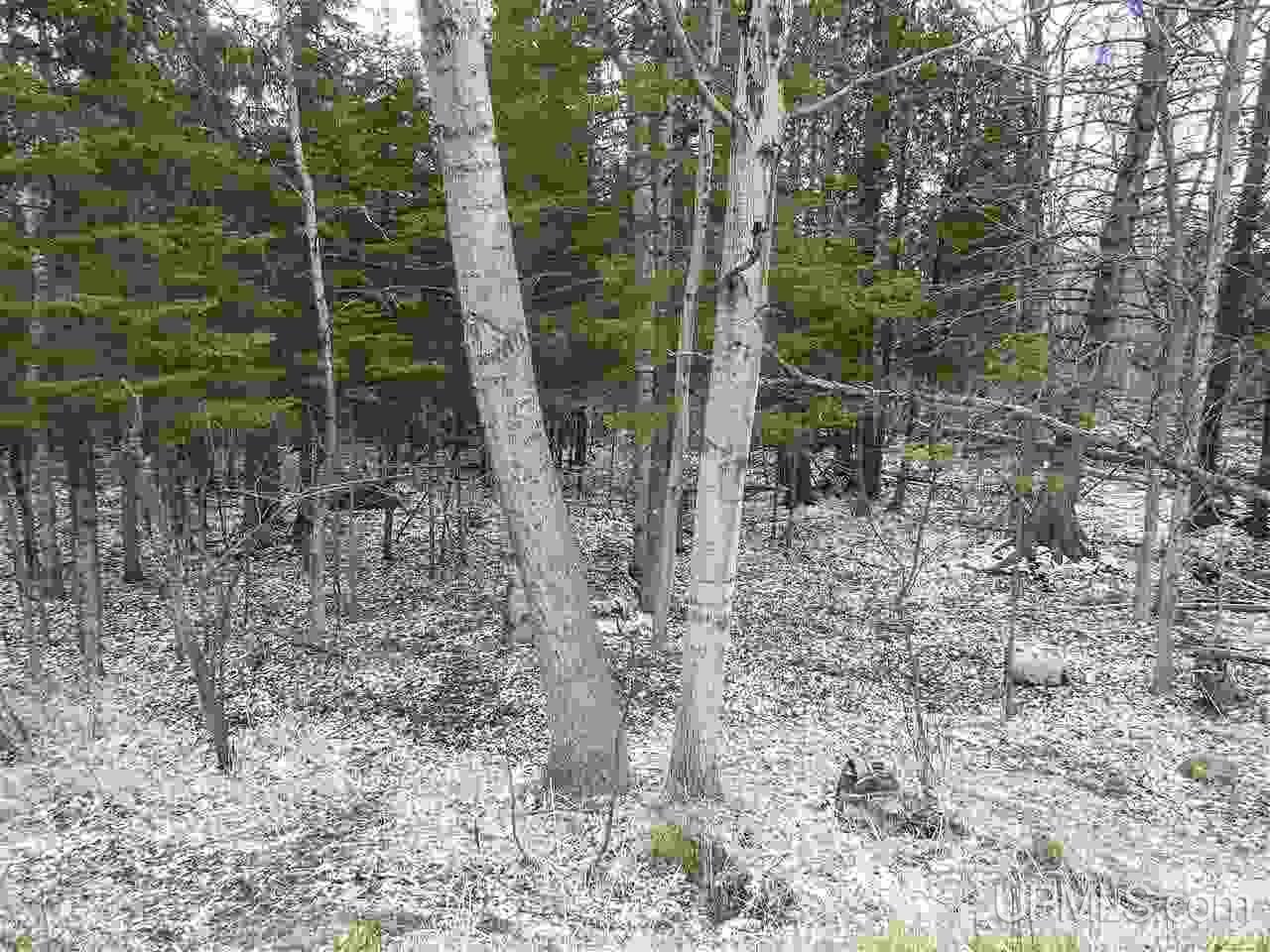 Tbd West Ridge Road Grand Marais, MI 49839 - Photo 1 of 12 Gallery Image 1