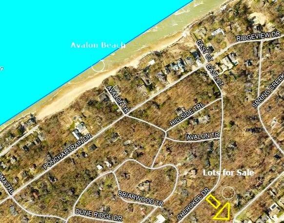 4202 Grand Bch Road Michiana, MI 49117 - Photo 5 of 6 Anest Showing Avalon Beach