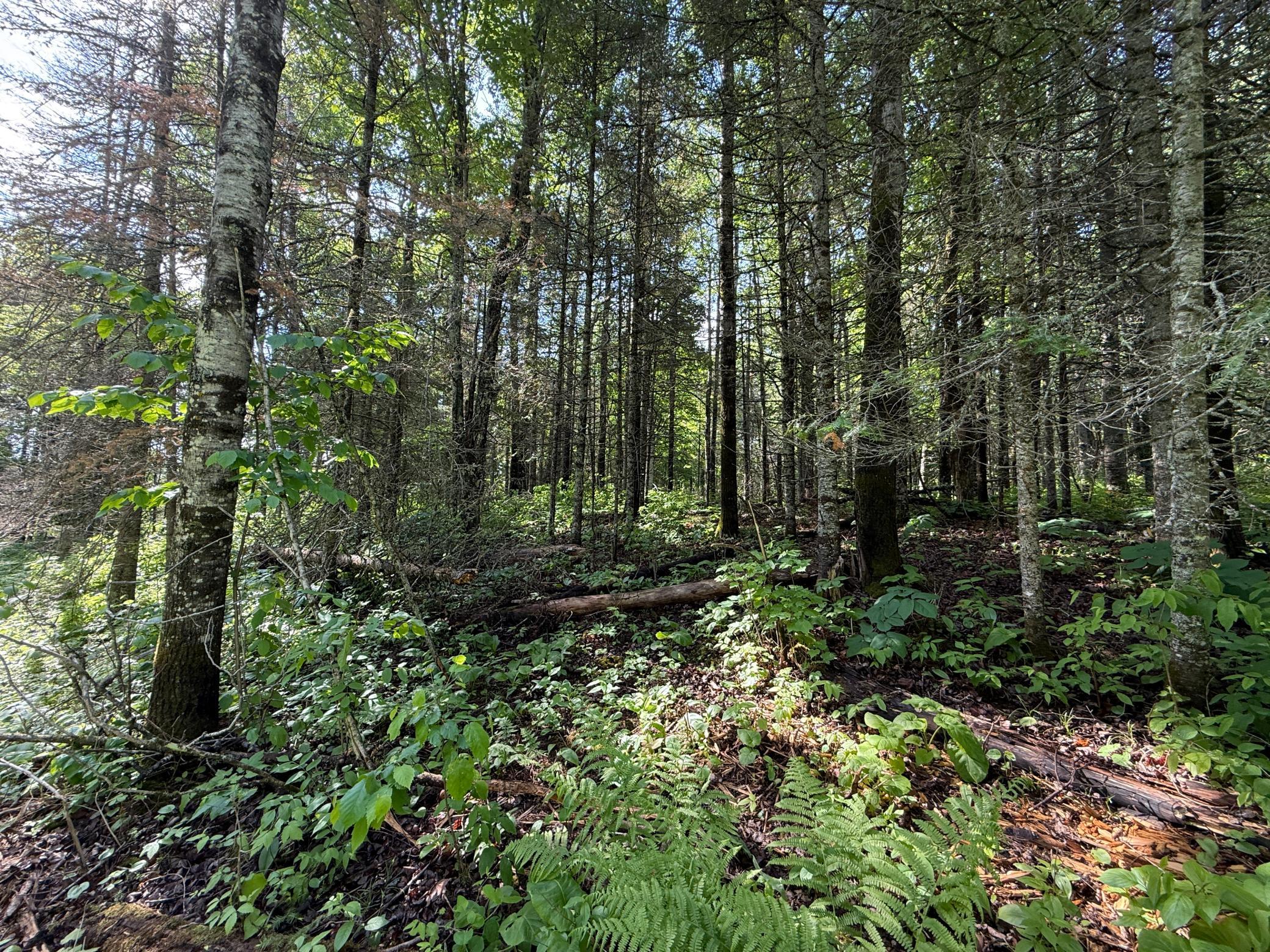 Tbd Arnold Road Duluth, MN 55803 - Photo 28 of 35