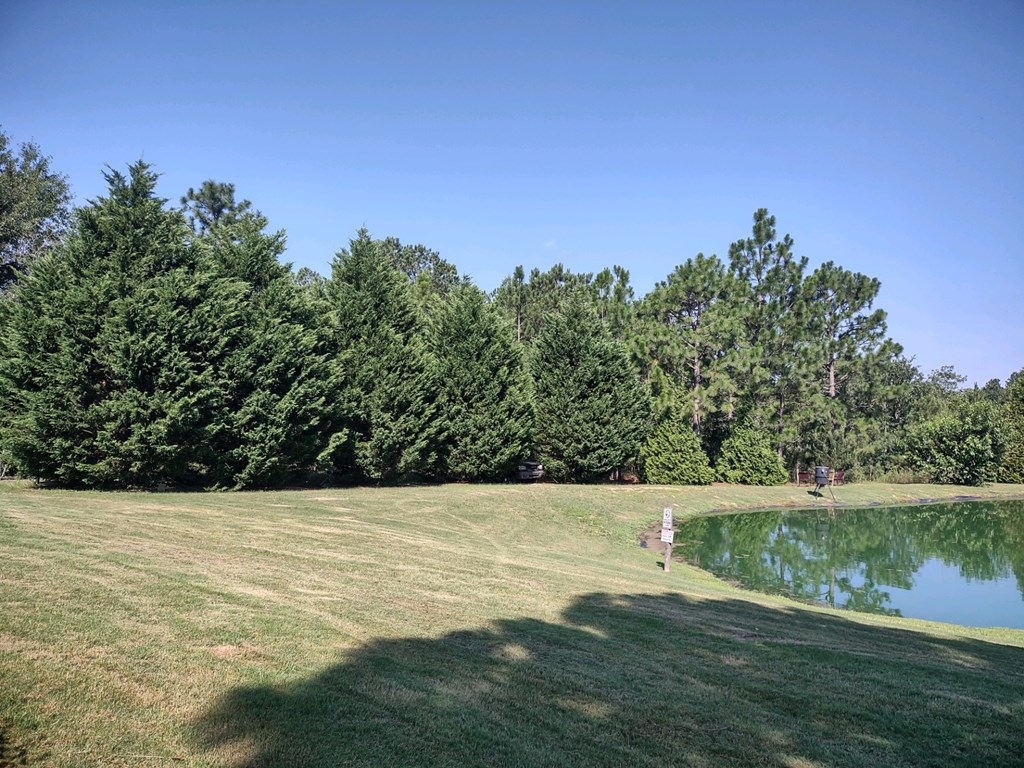 885 Mauk Road Mauk, GA 31058 - Photo 17 of 35 Gallery Image 17