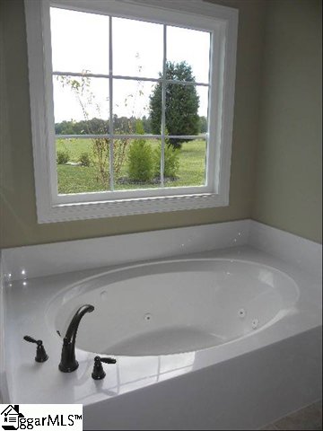 317 Aleutian Way Fountain Inn, SC 29644 - Photo 15 of 23 Gallery Image 15