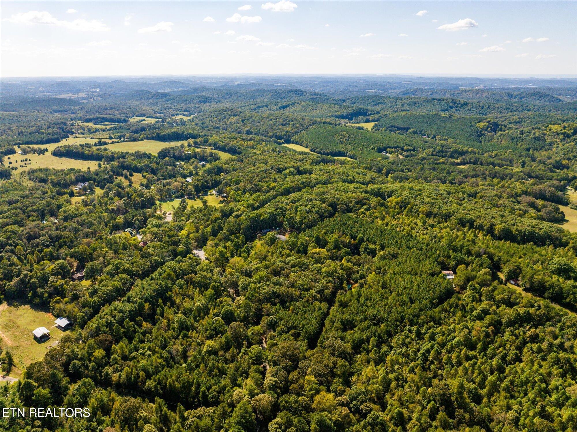 0 County Road 961 Riceville, TN 37370 - Photo 7 of 16 Gallery Image 7