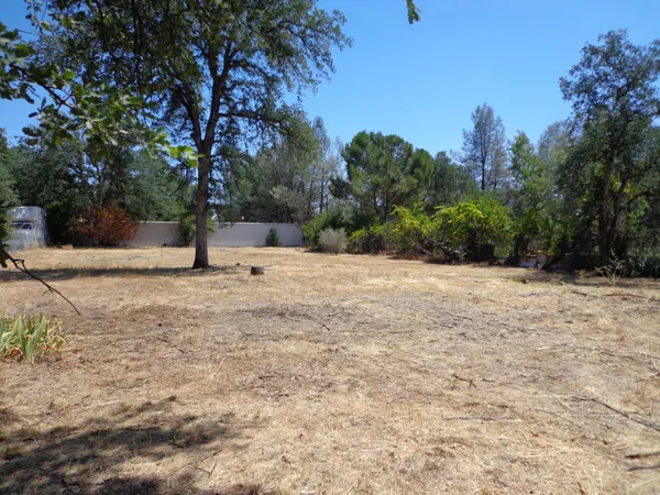 a view of a yard with a tree