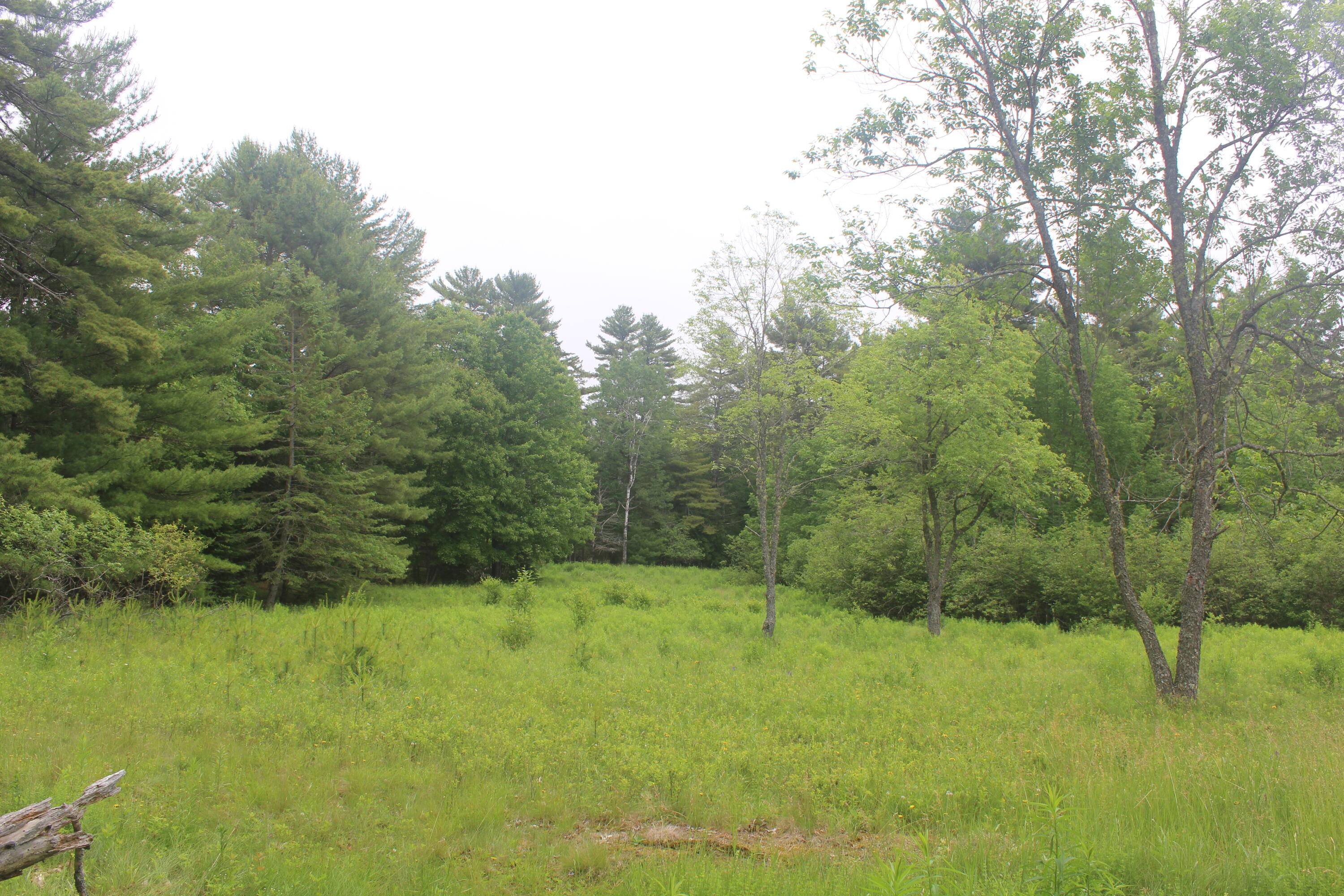 486 Johnson Mill Road Orrington, ME 04474 - Photo 16 of 20 IMG_1273