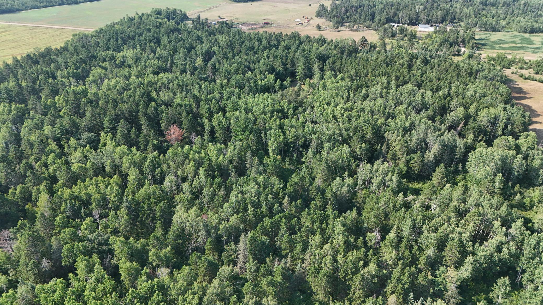 Tbd Fredenburg Road Southwest Solway, MN 56678 - Photo 16 of 20 Gallery Image 16