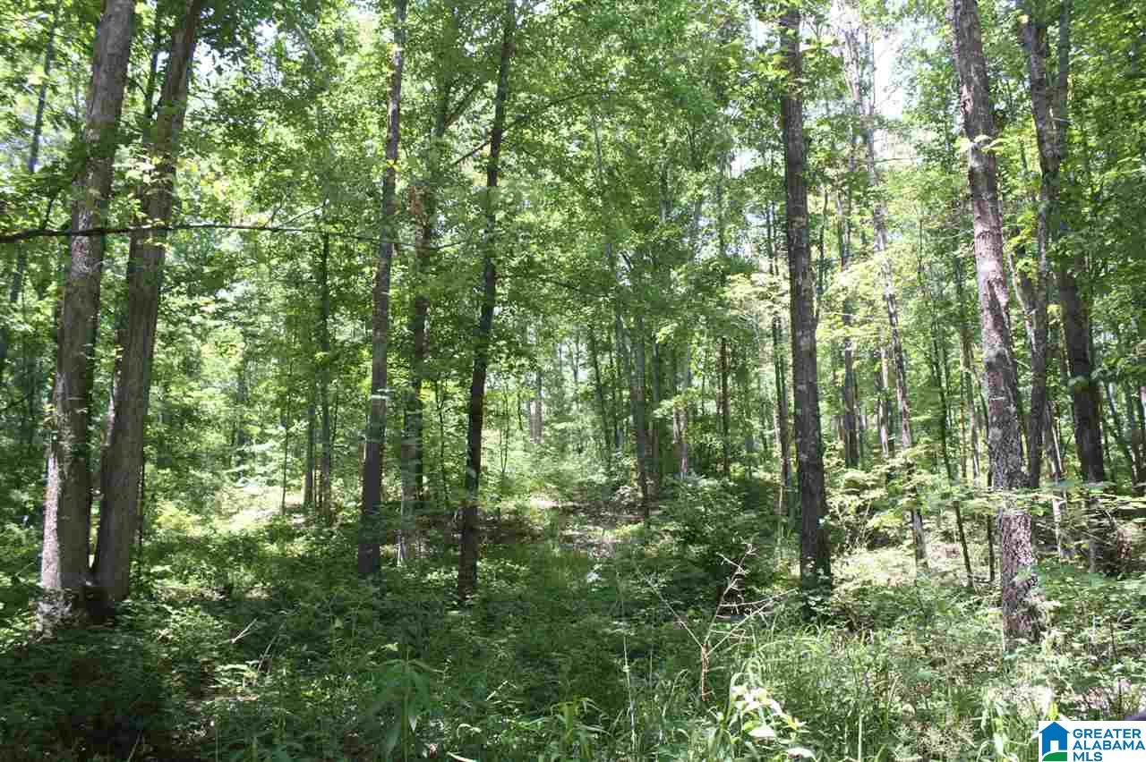 810 Weeks Drive, Unit 152 ACRES Delta, AL 36258 - Photo 9 of 24