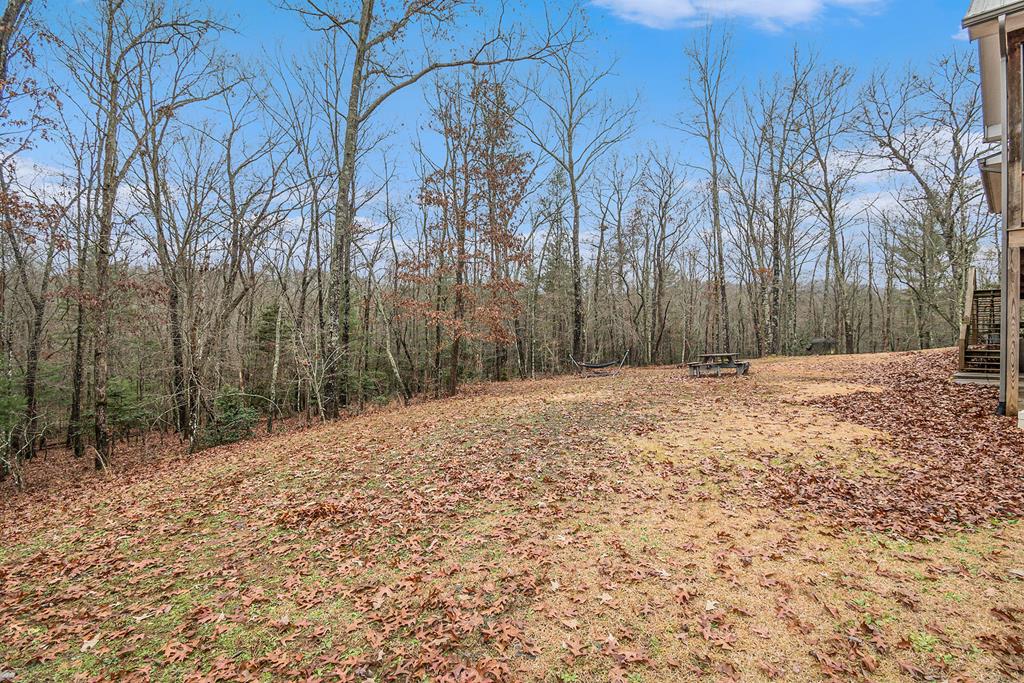 586 Barnes Chapel Road Blue Ridge, GA 30513 - Photo 44 of 53 Gallery Image 44