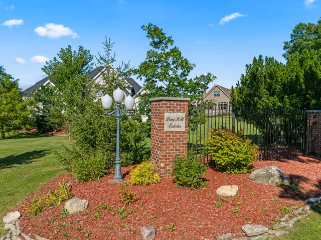 a view of a garden with plants and large trees