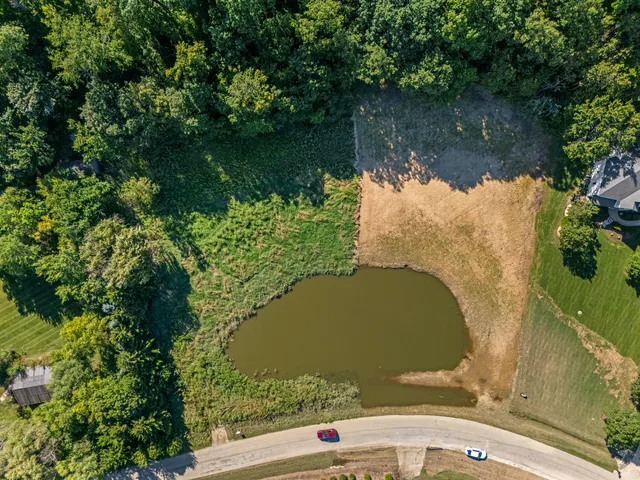 an aerial view of a house with a yard and large trees all around