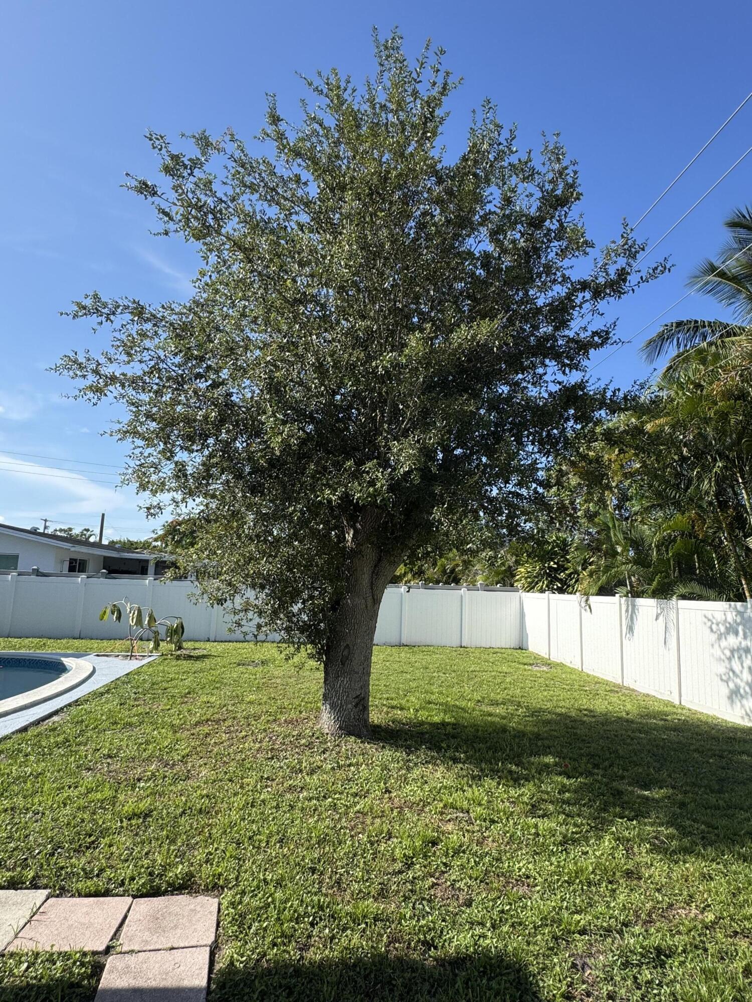 28 Southwest 9th Avenue Boca Raton, FL 33486 - Photo 15 of 16 a view of a garden with a tree