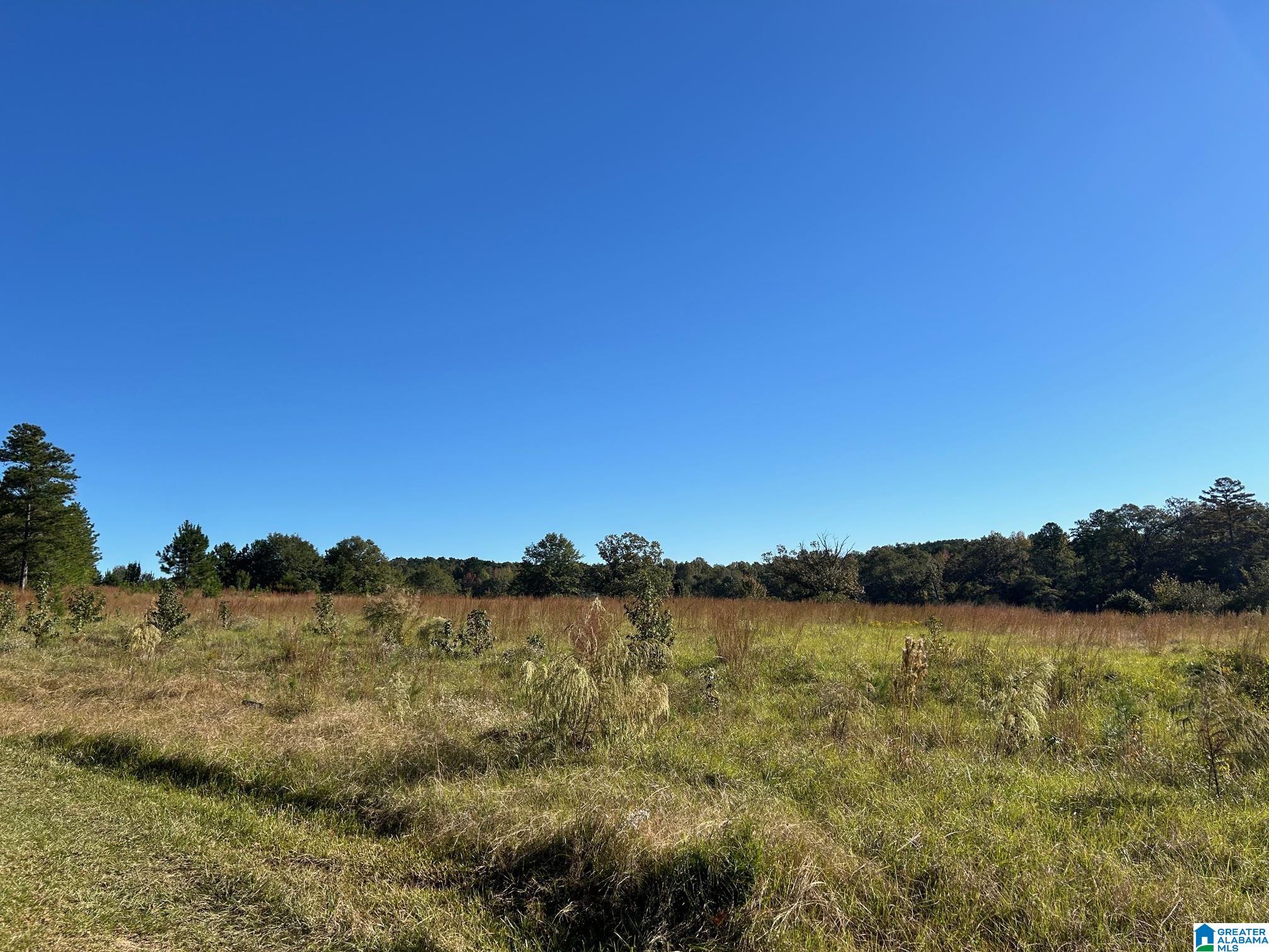 0 Rockyview Road, Unit X West Blocton, AL 35184 - Photo 4 of 11