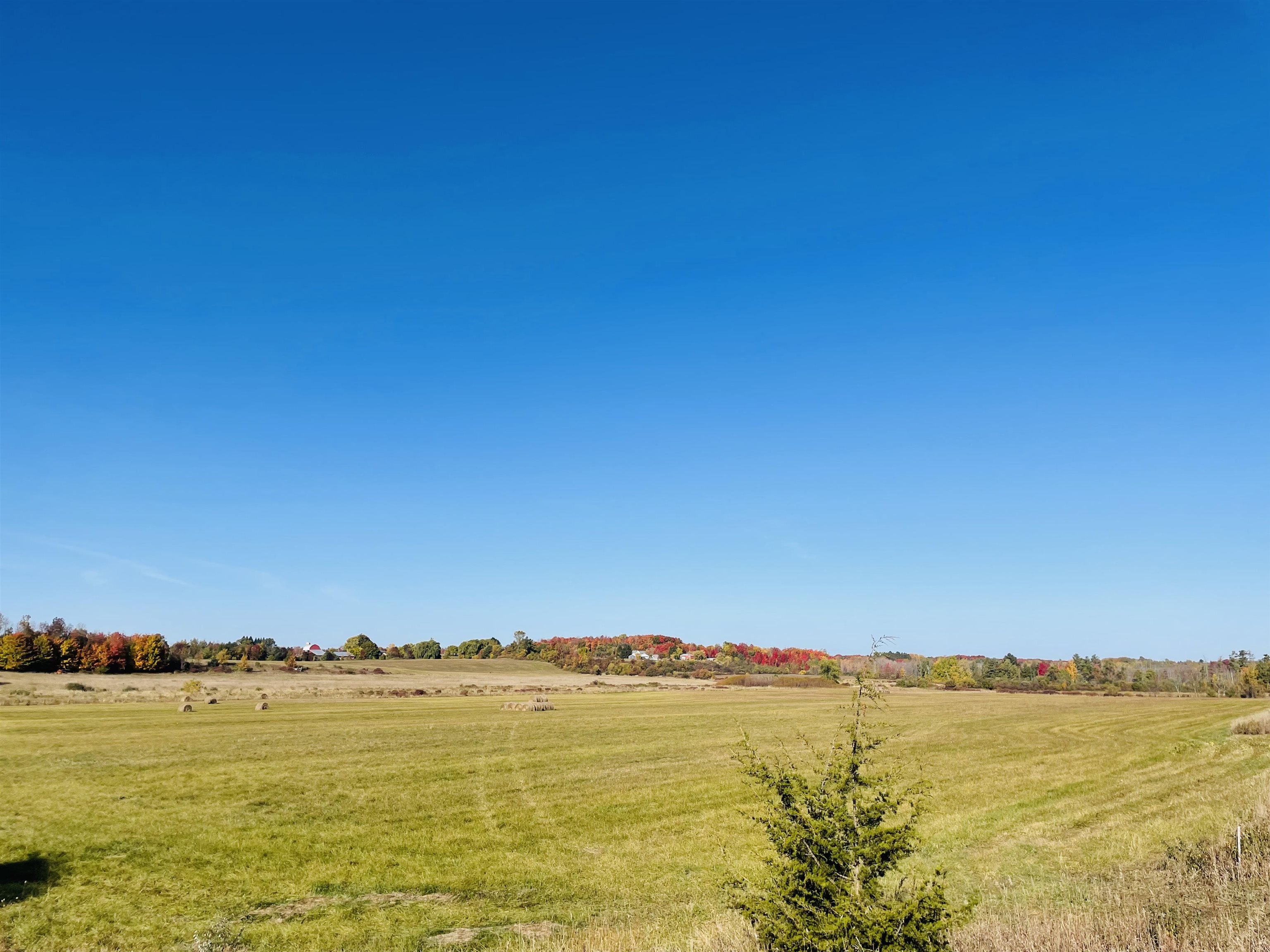 0 Zawora Road Kewadin, MI 49648 - Photo 11 of 12