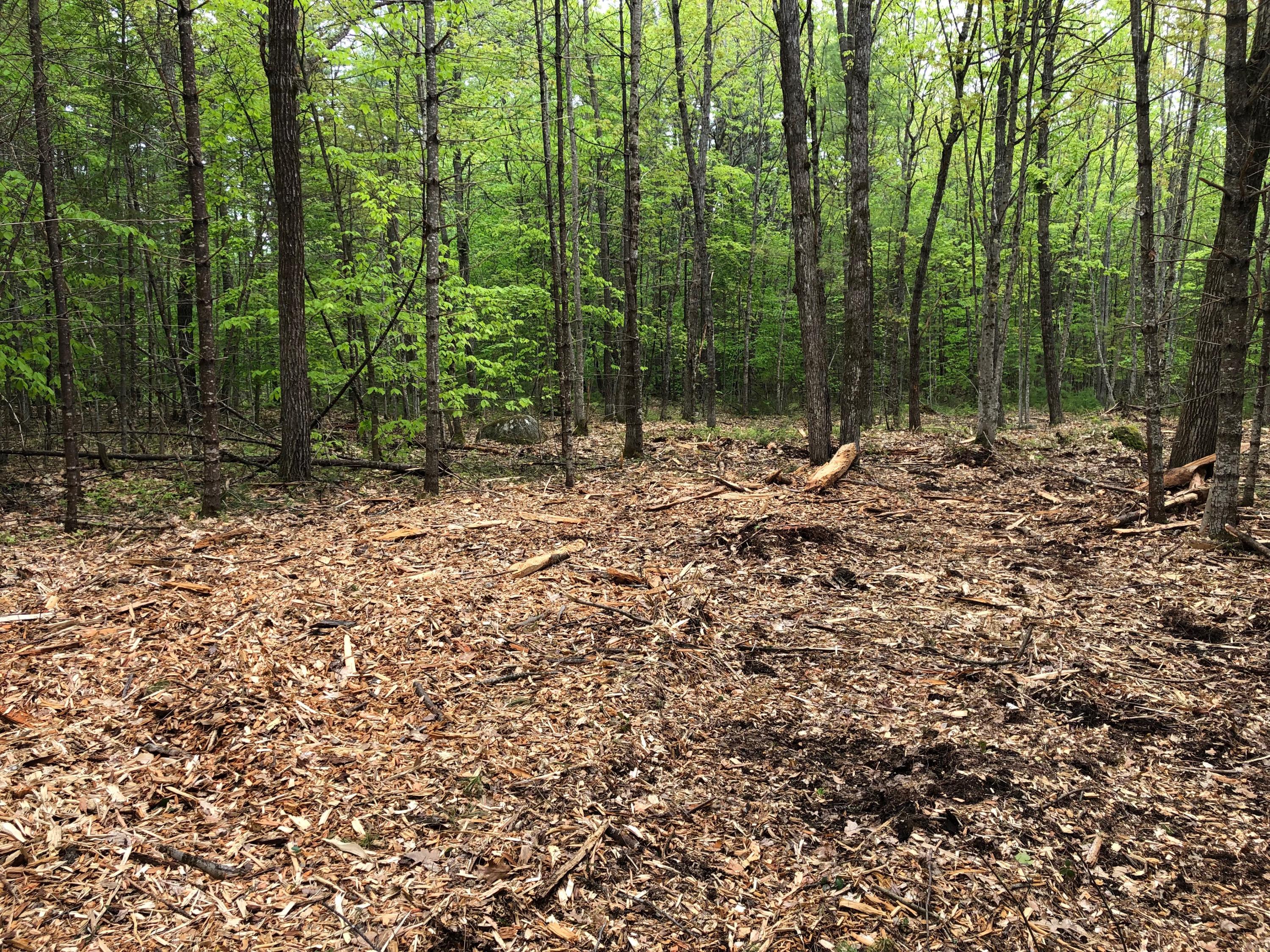 Lot 2 Lewis Road Harrison, ME 04040 - Photo 2 of 2 Lot 2 Lewis Rd