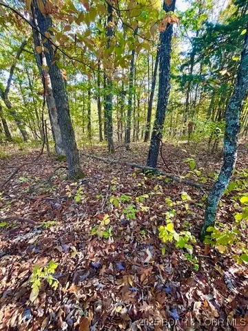 $8,999 | Lot#4 Lakewood Lane, Barnett, MO 65011