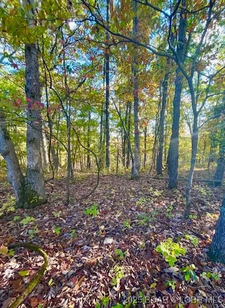 $8,999 | Lot#4 Lakewood Lane, Barnett, MO 65011