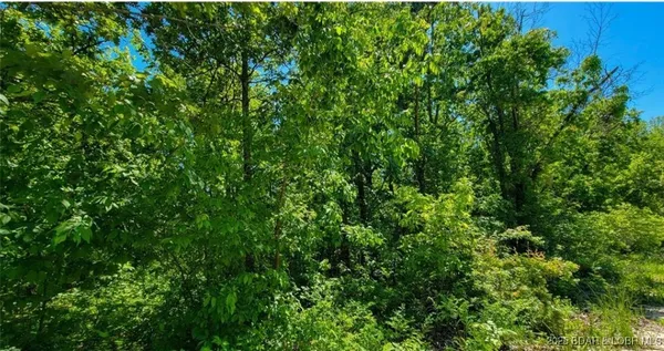 $8,999 | Lot#4 Lakewood Lane, Barnett, MO 65011