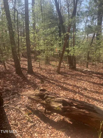 $49,900 | Tbd Jr Gray Road, Greeneville, TN 37743