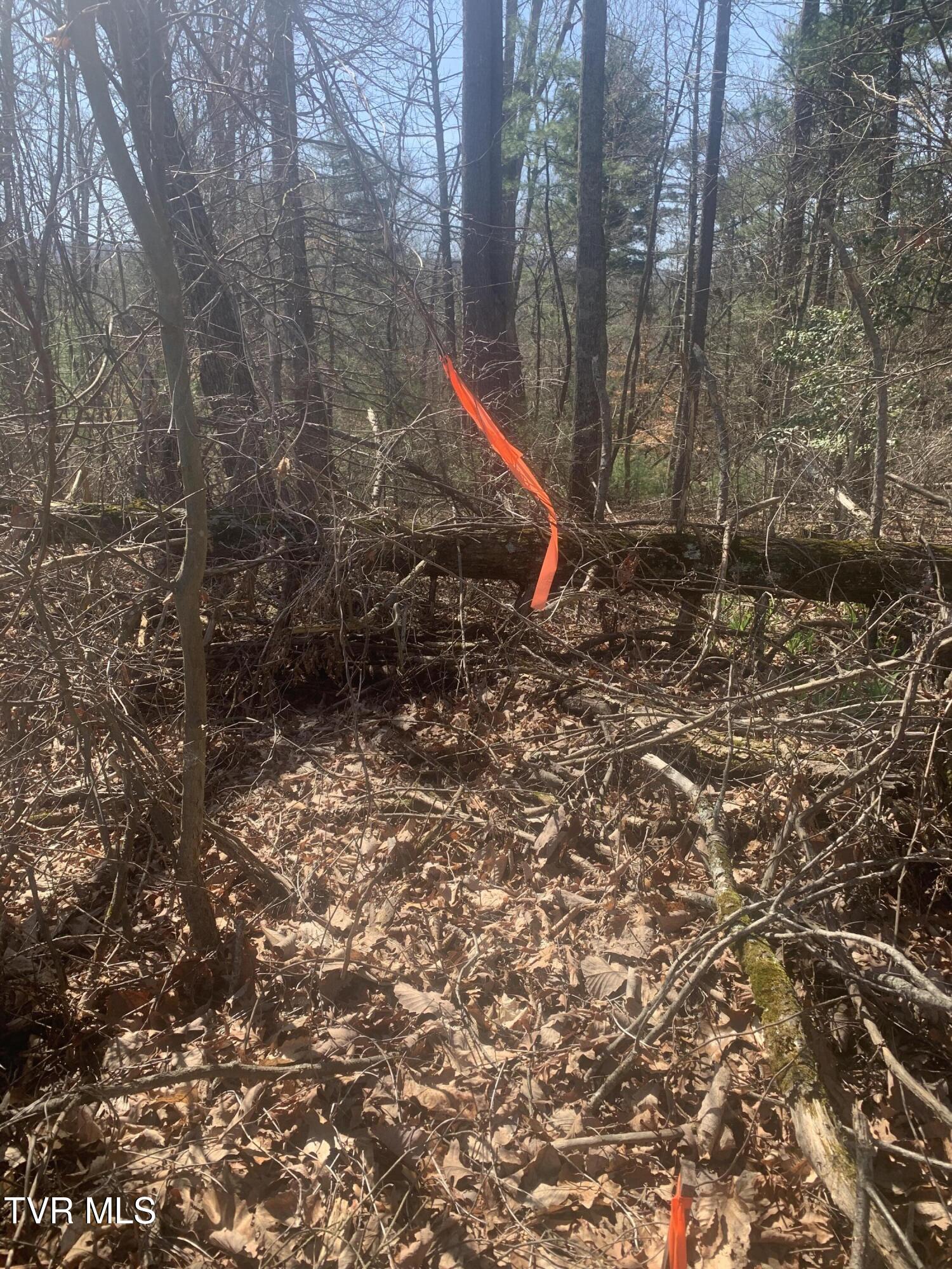 Tbd Jr Gray Road Greeneville, TN 37743 - Photo 3 of 9 IMG_3420