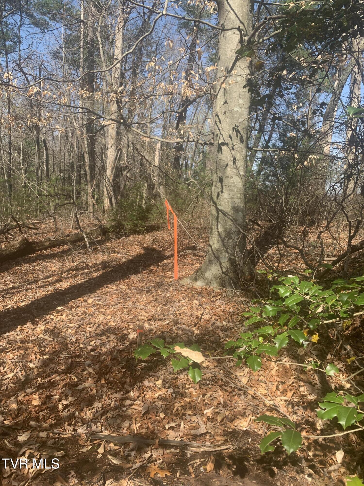 Tbd Jr Gray Road Greeneville, TN 37743 - Photo 4 of 9 IMG_3406