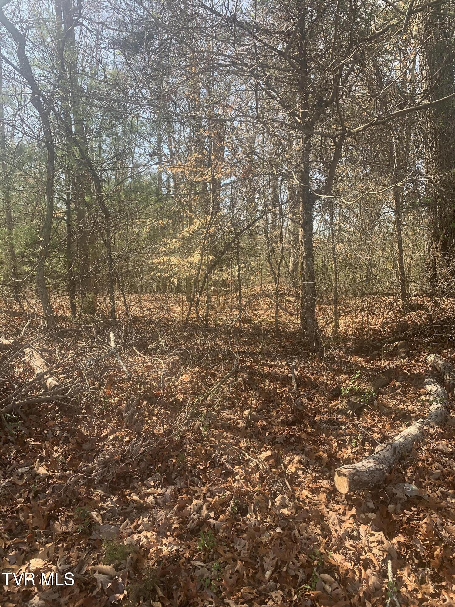 Tbd Jr Gray Road Greeneville, TN 37743 - Photo 5 of 9 IMG_3403