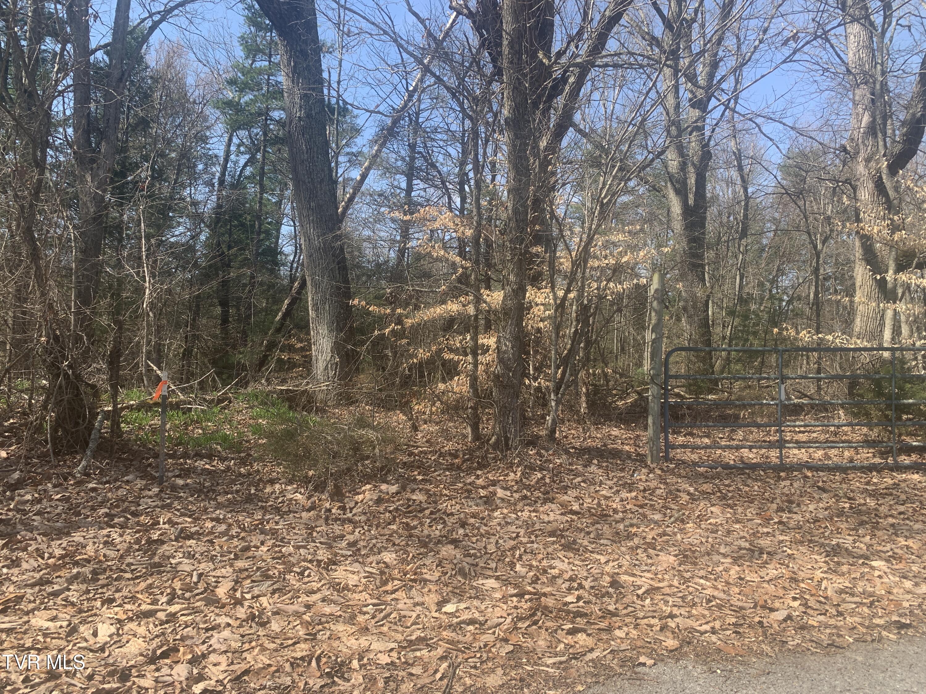 Tbd Jr Gray Road Greeneville, TN 37743 - Photo 8 of 9 IMG_3389