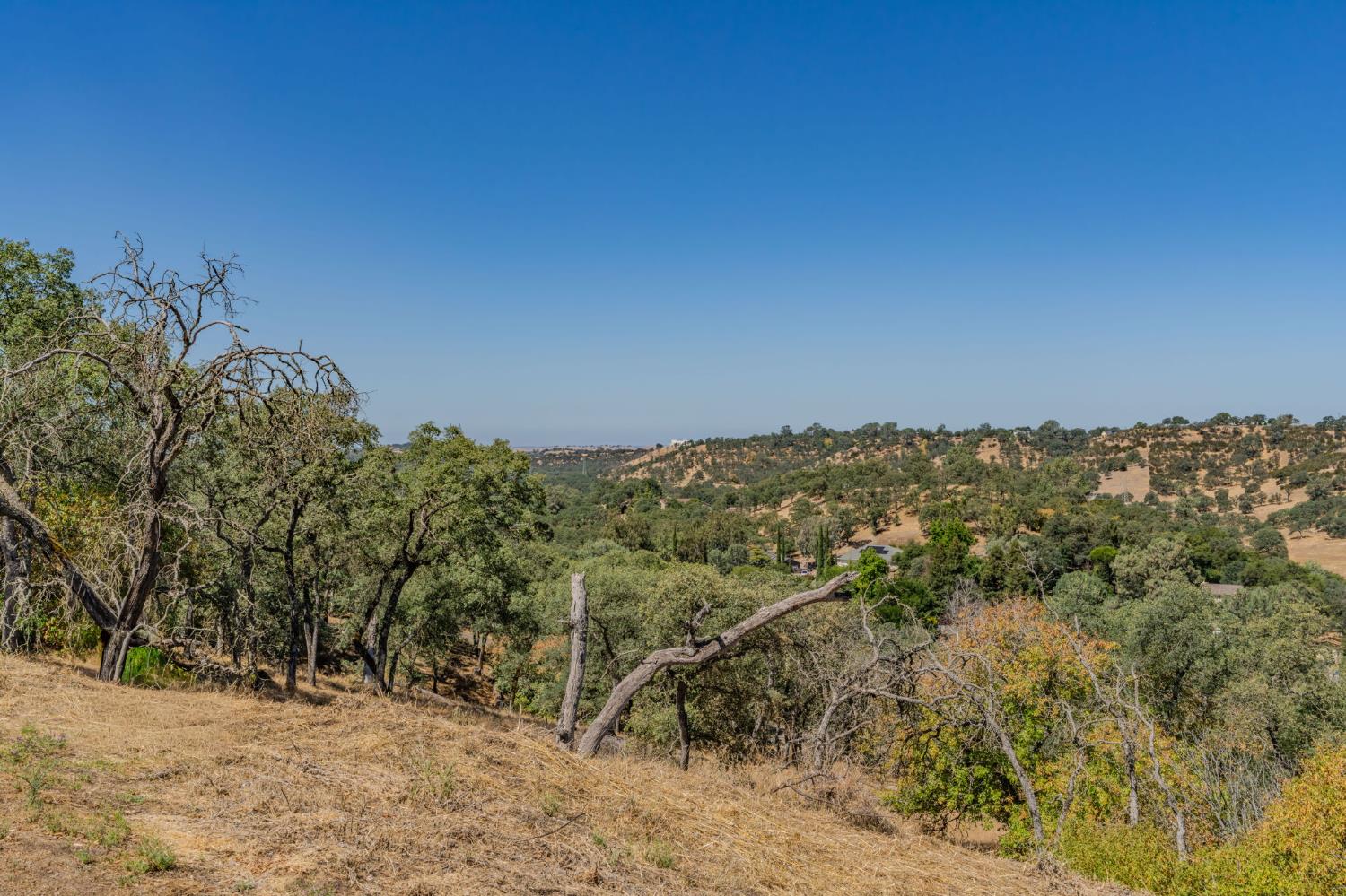 3721 Dunn Road Valley Springs, CA 95252 - Photo 5 of 14 a view of a mountain range with trees in the background