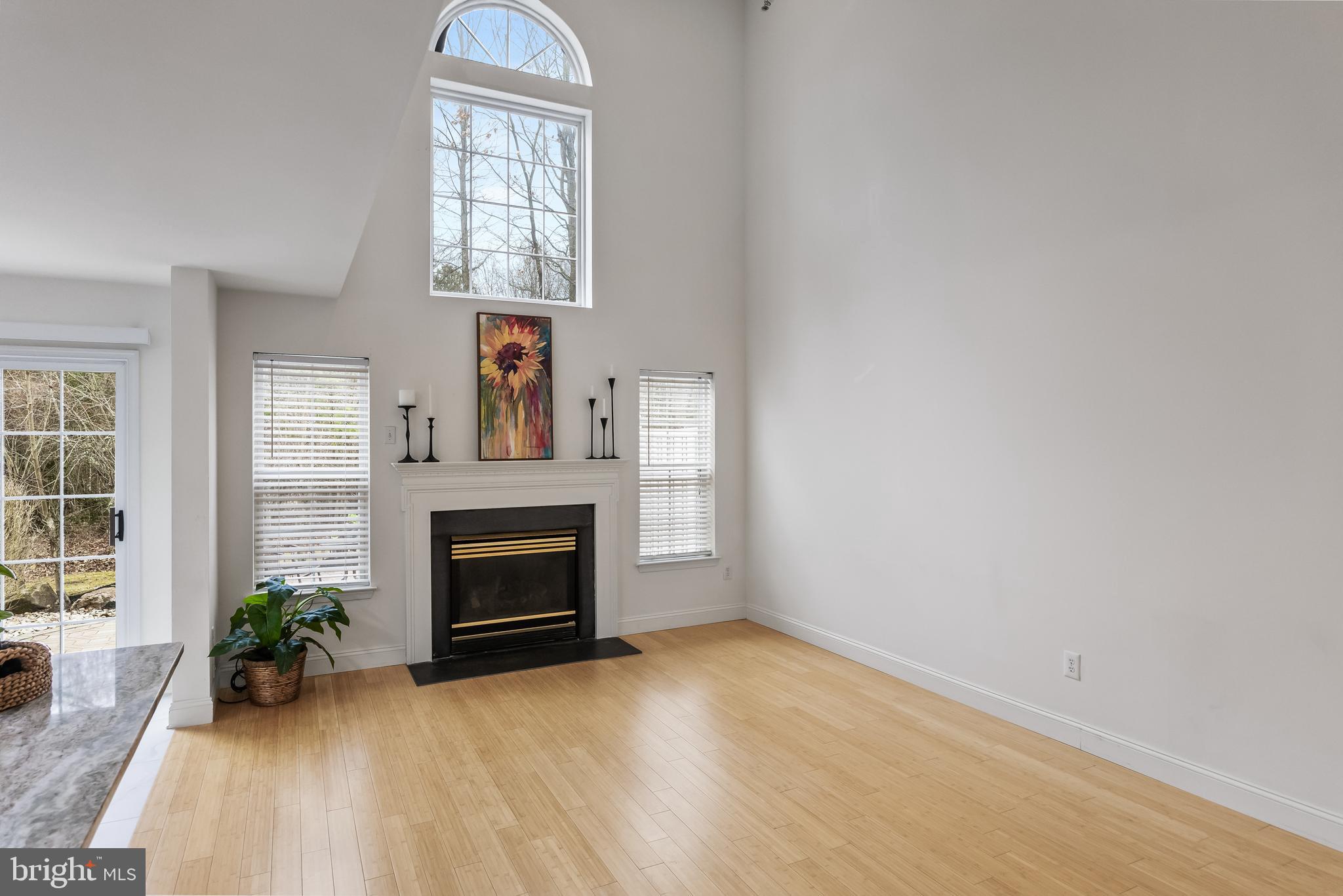 773 Barton Run Boulevard Marlton, NJ 08053 - Photo 10 of 30 an empty room with windows and fireplace