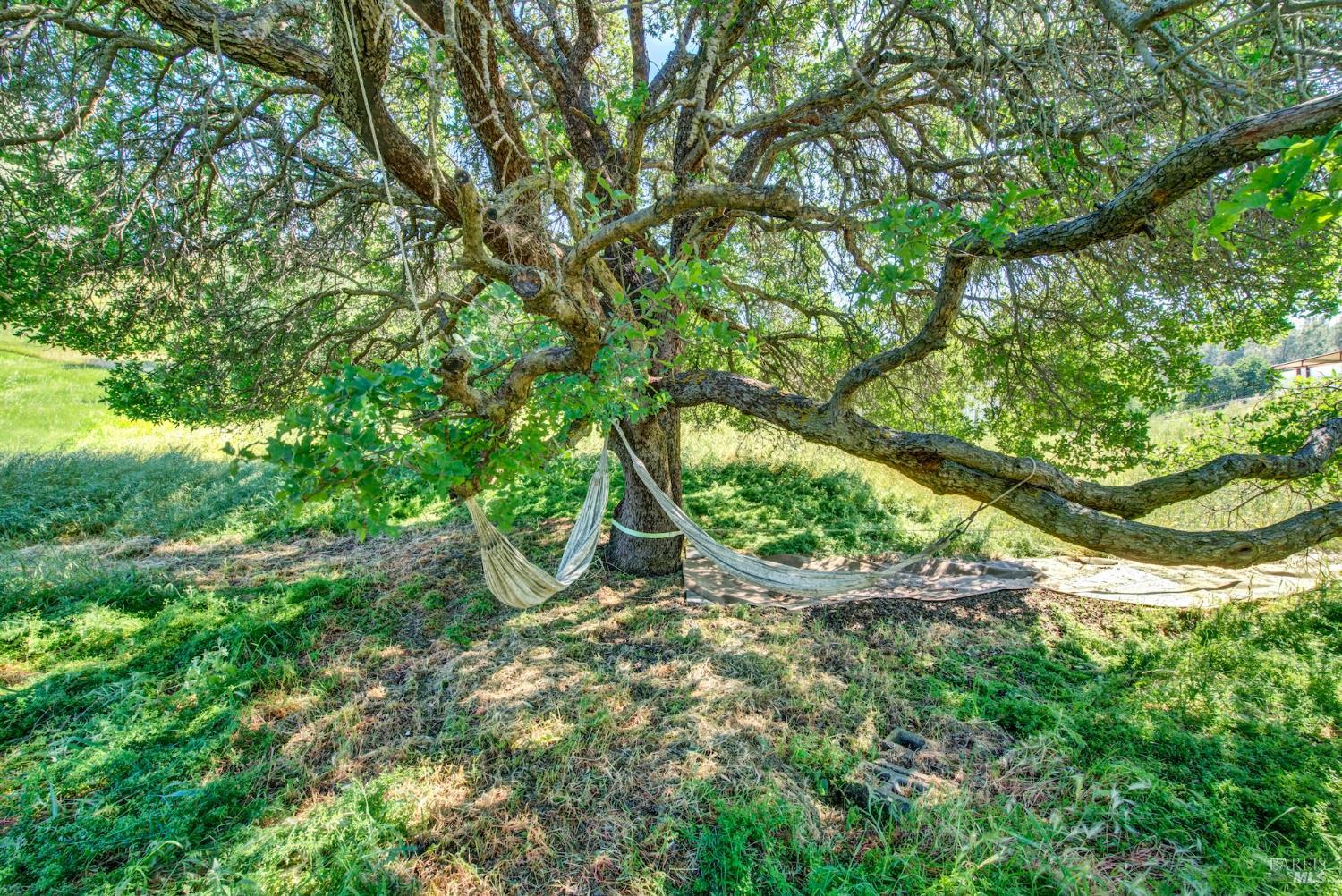 3922 Putah Ridge Trail Winters, CA 95694 - Photo 66 of 75