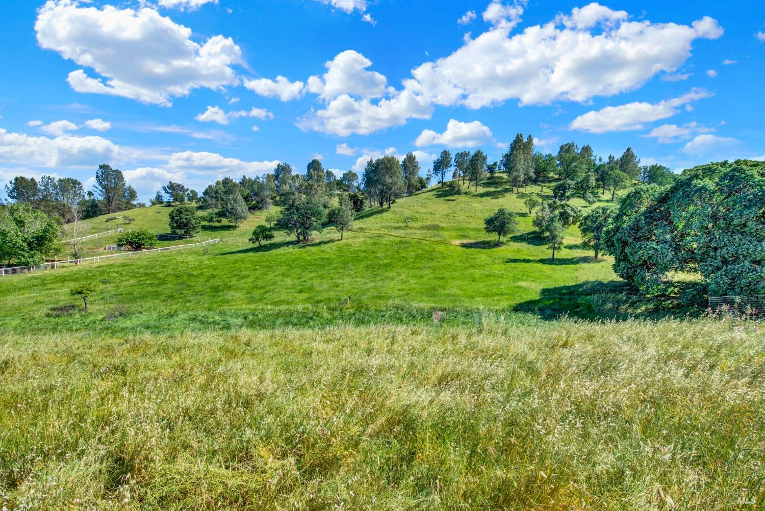 3922 Putah Ridge Trail Winters, CA 95694 - Photo 68 of 75