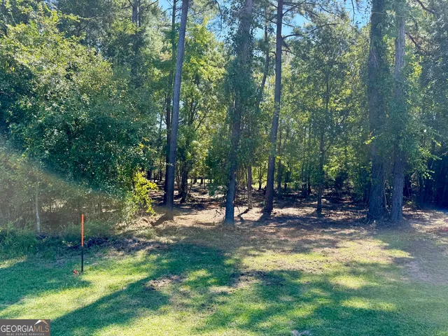 a view of a park with large trees