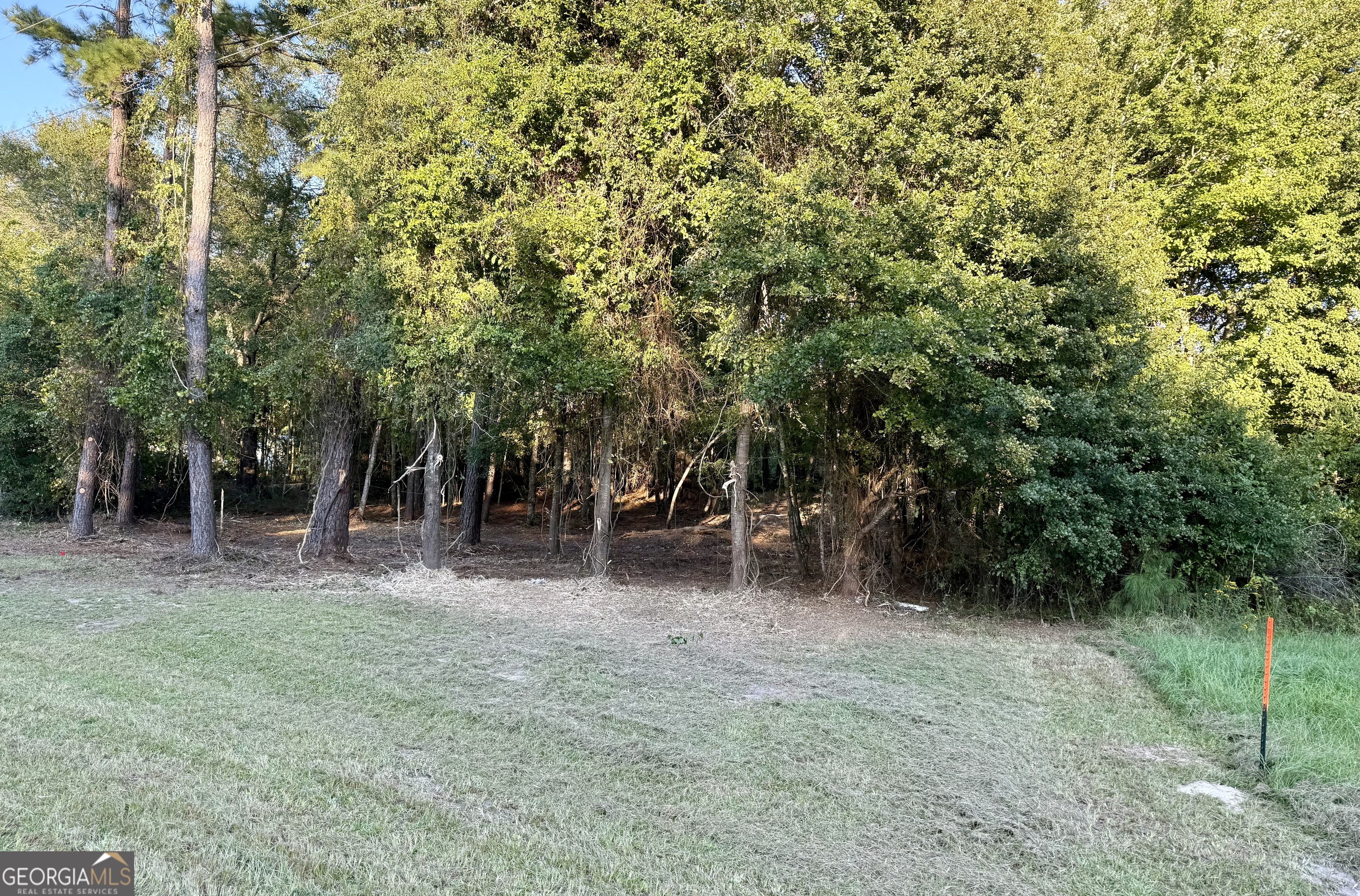 0 Friendship Road Sylvania, GA 30467 - Photo 4 of 10 a view of a forest with trees in the background