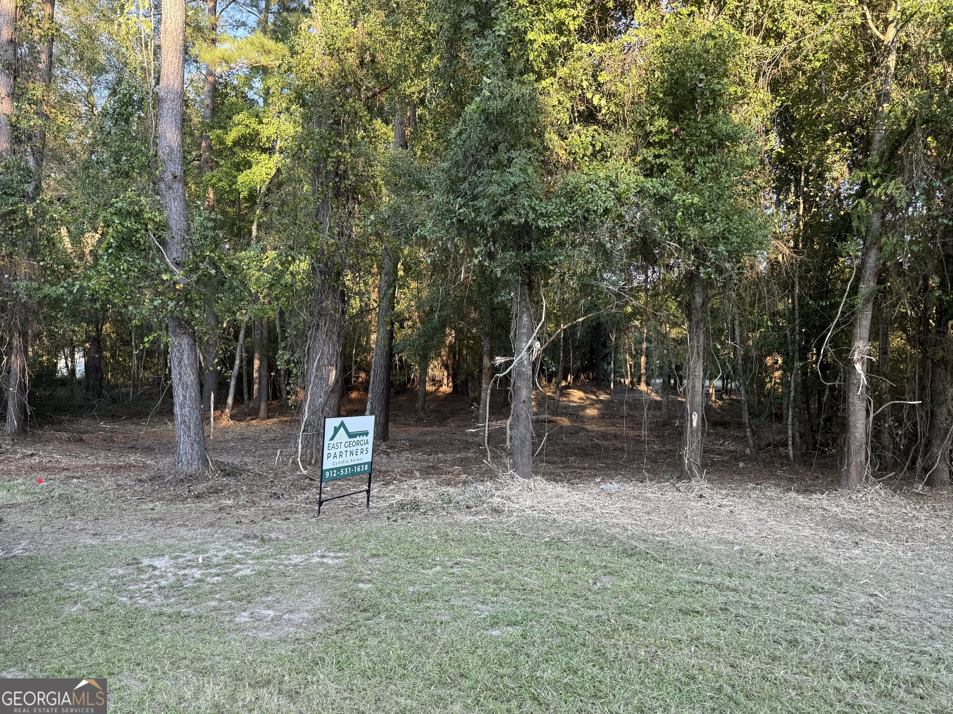 0 Friendship Road Sylvania, GA 30467 - Photo 6 of 10 a view of park with trees