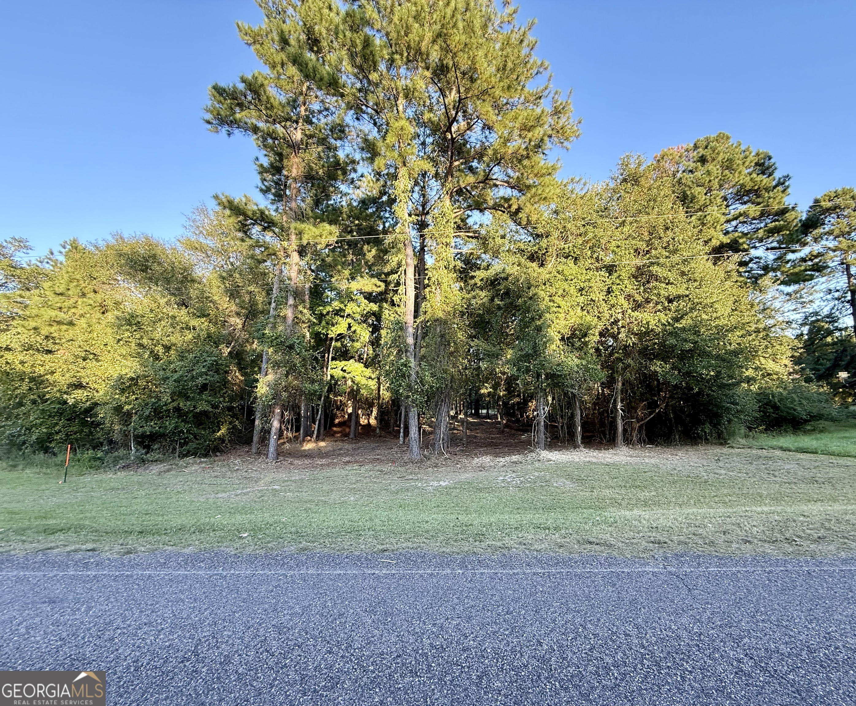 0 Friendship Road Sylvania, GA 30467 - Photo 10 of 10 a backyard of a house with lots of green space