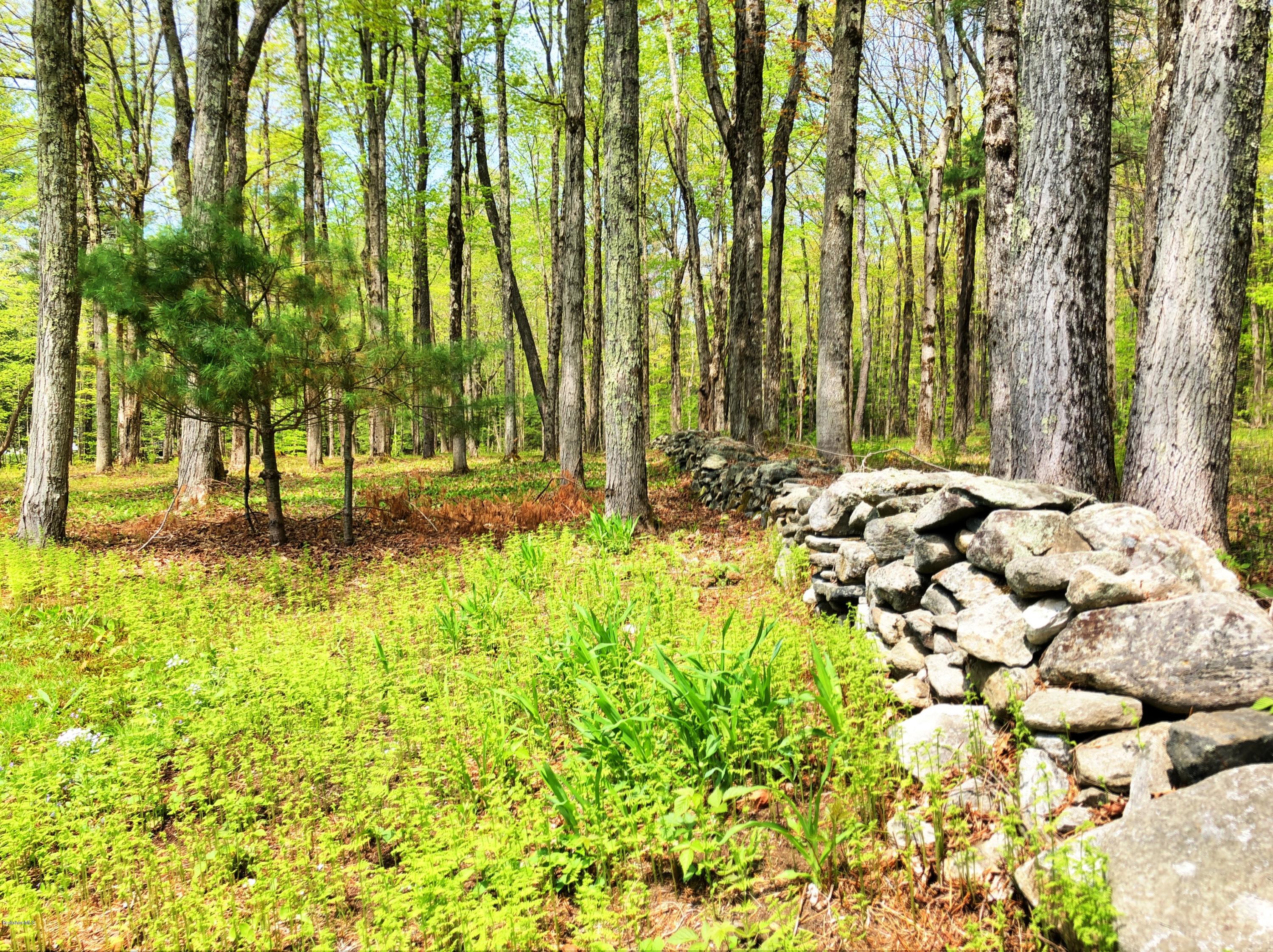 131 Tyringham Road Otis, MA 01253 - Photo 14 of 46 a view of yard with green space