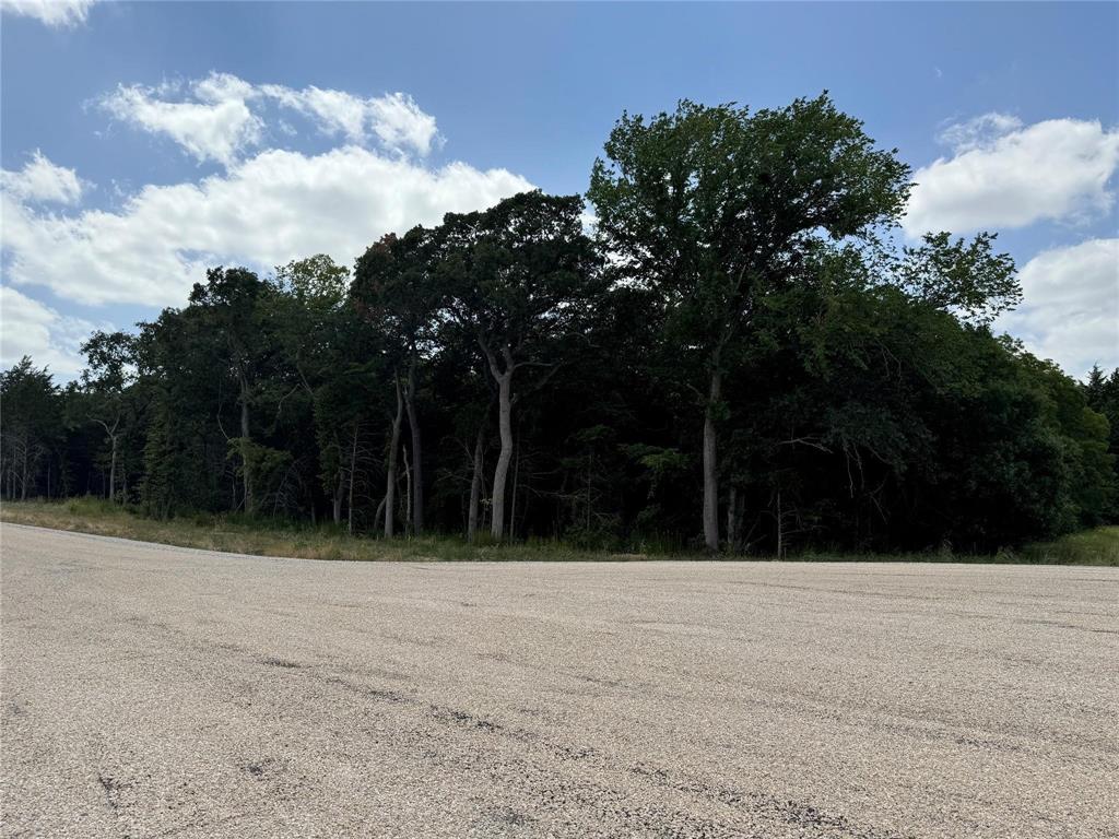 Lot 18 Big Cedar Court Decatur, TX 76234 - Photo 15 of 19