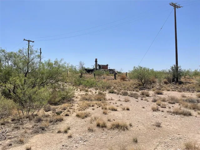 a view of a dry yard with trees
