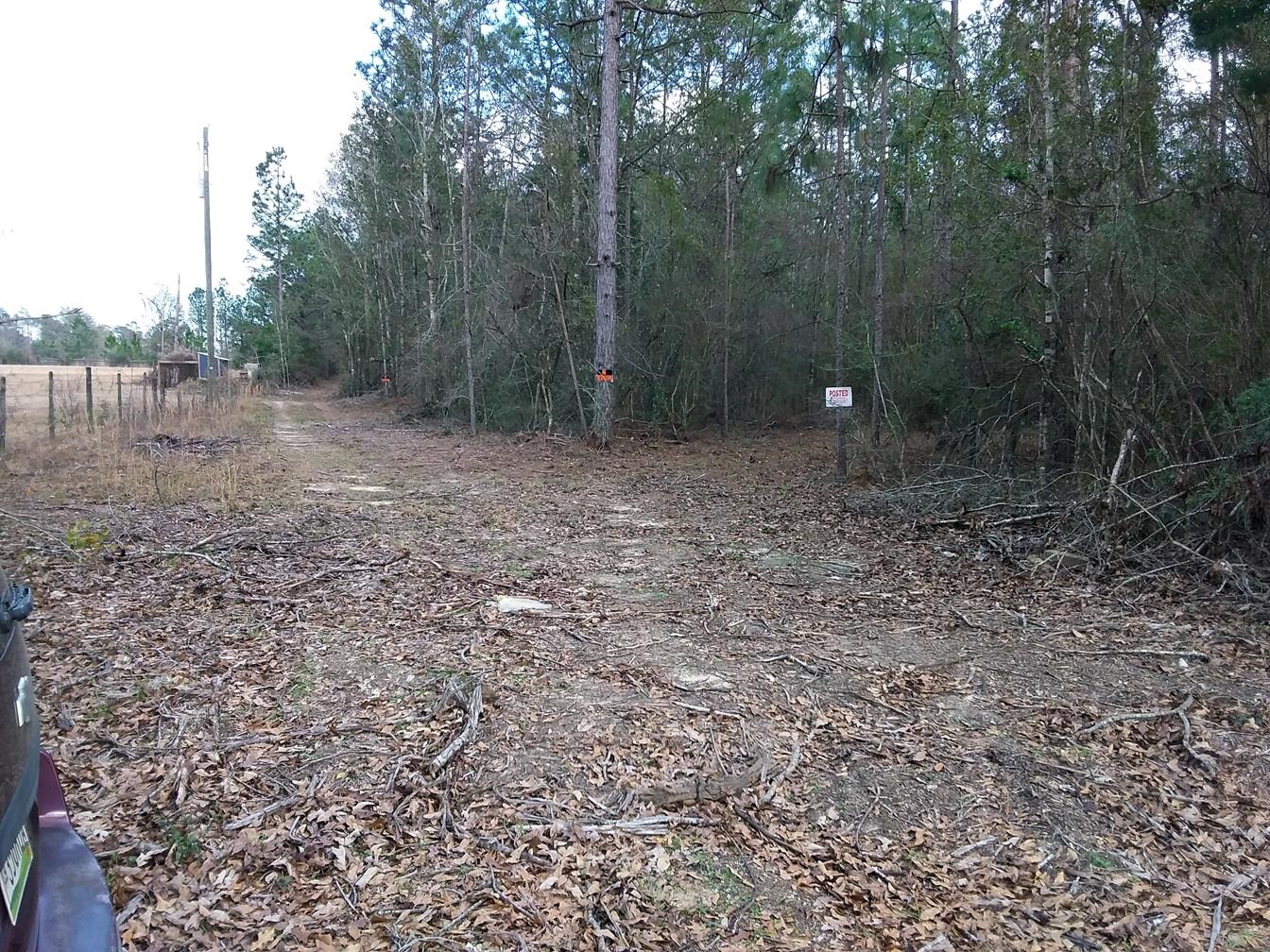 49360 Pimperl Road Bay Minette, AL 36507 - Photo 5 of 8