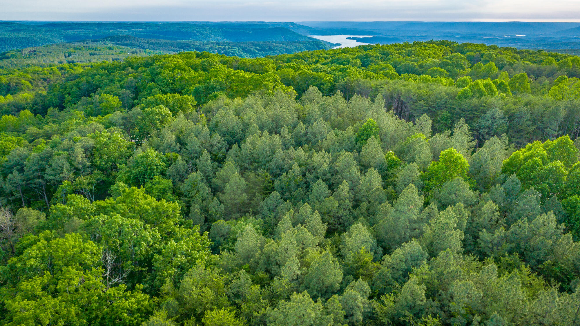 0 Cannon Way, Unit LOT 1317 Guild, TN 37340 - Photo 32 of 99 0 Cannon Way - Lot 1317 HD-16